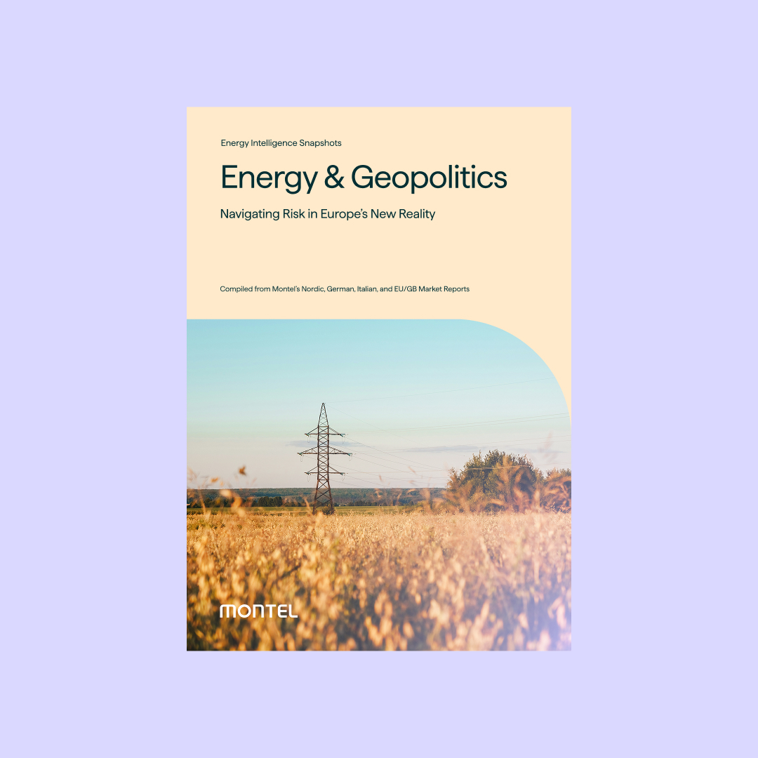 Energy and Geopolitics Navigating Risk in Europes New Reality