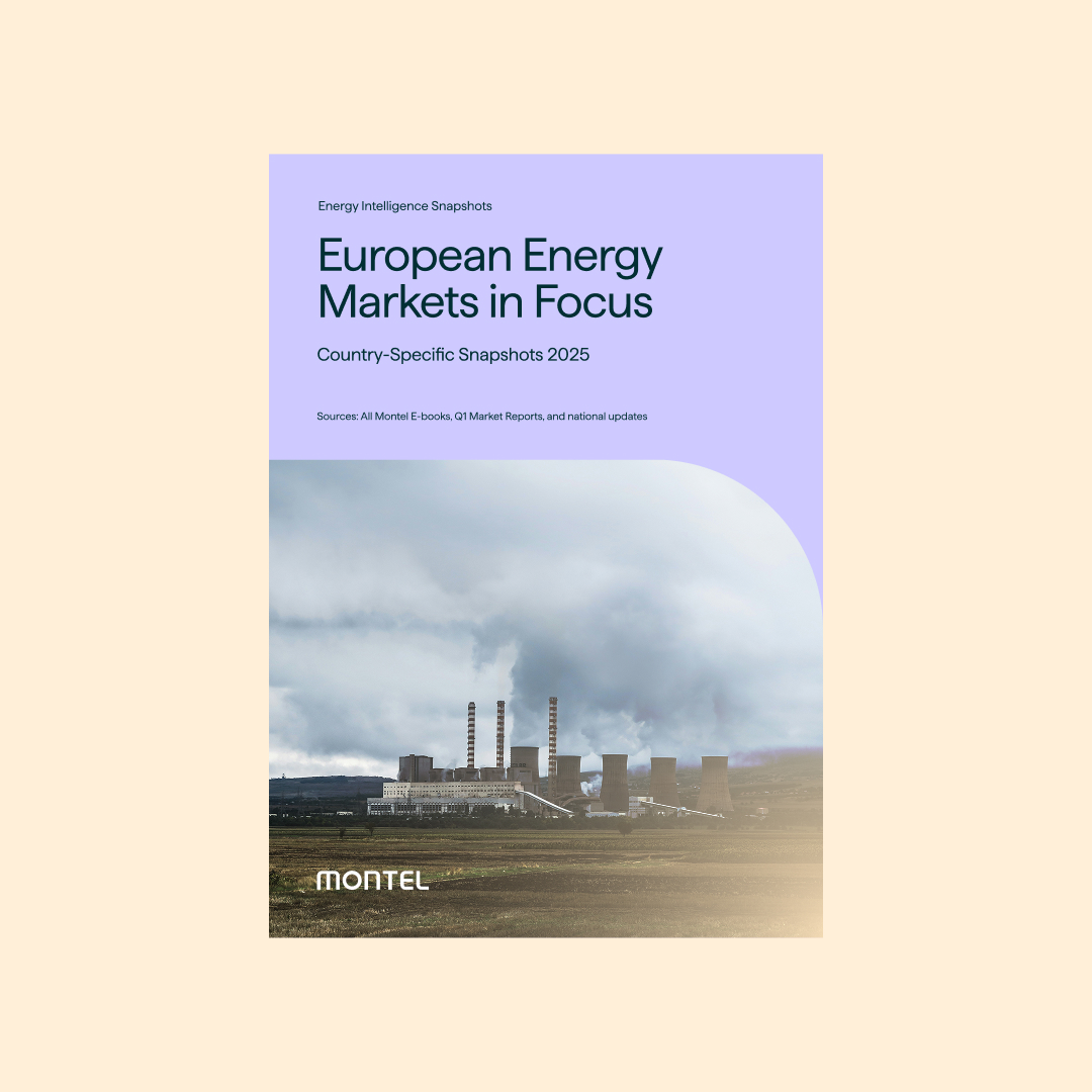 European Energy Markets in Focus Country Snapshots 2025 European Energy Markets in Focus Country Snapshots 2025