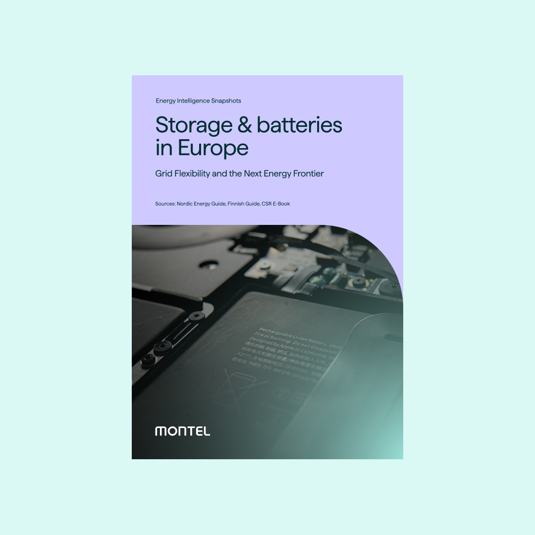 Storage Batteries in Europe Grid Flexibility and the Next Energy Frontier Storage Batteries in Europe Grid Flexibility and the Next Energy Frontier