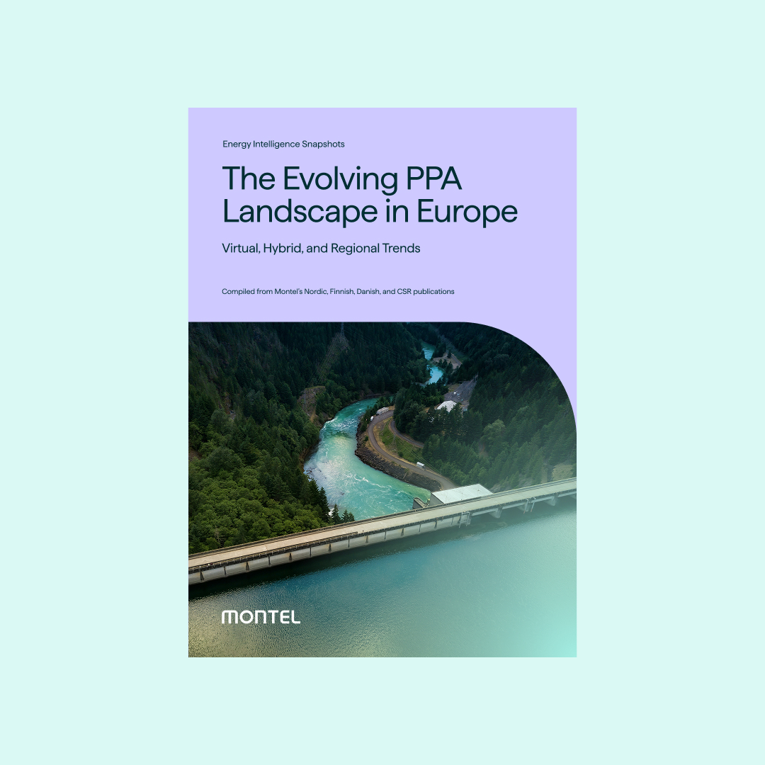 The evolving PPA landscape in Europe The evolving PPA landscape in Europe